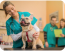 Veterinary Educational Tools - Colorado State University